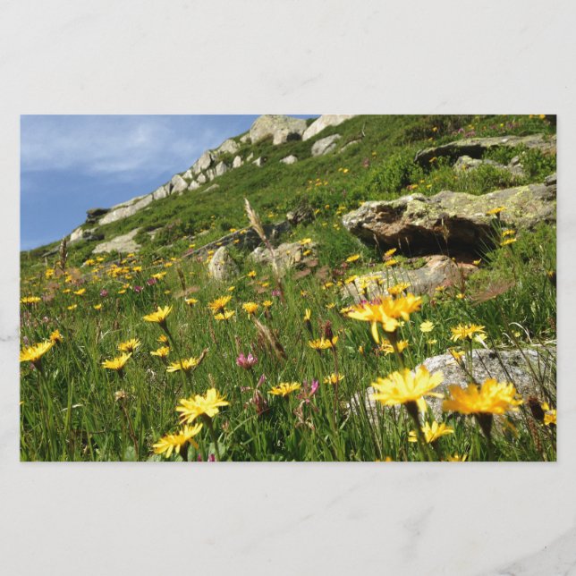 Lámina ¡Increíble! Flores alpinas (Anverso)