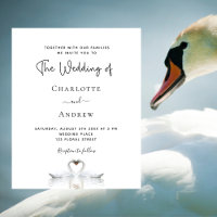 Invitación a la boda blanca de pareja de cisnes pr