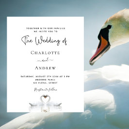 Lámina Invitación a la boda blanca de pareja de cisnes pr