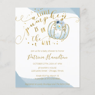 Lámina Invitación de baby shower para niño con presupuest