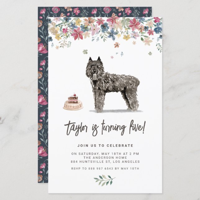 Lámina Invitación de cumpleaños del perro Bouvier des Fla (Anverso / Reverso)