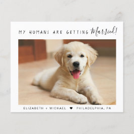 Lámina Invitación de participación de presupuesto mascota