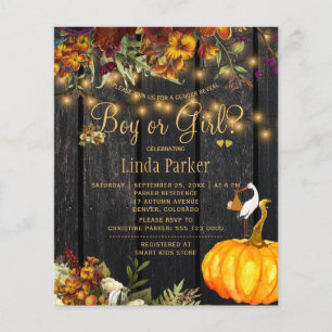 Lámina Invitación de revelación de género para baby showe