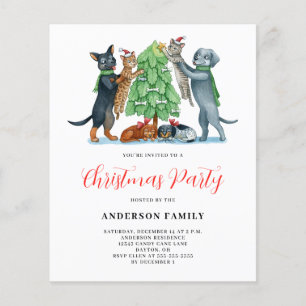 Lámina Invitación del partido de Navidades del gato del p