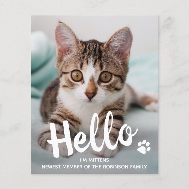 Lámina Invitación Gato Gato Gato Gatito de Foto Mascota d (Anverso)