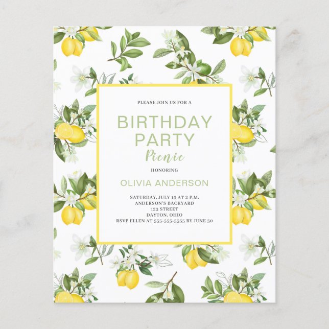 Lámina Invitación para picnic de cumpleaños de Budget Lem (Anverso)