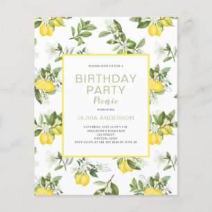 Lámina Invitación para picnic de cumpleaños de Budget Lem