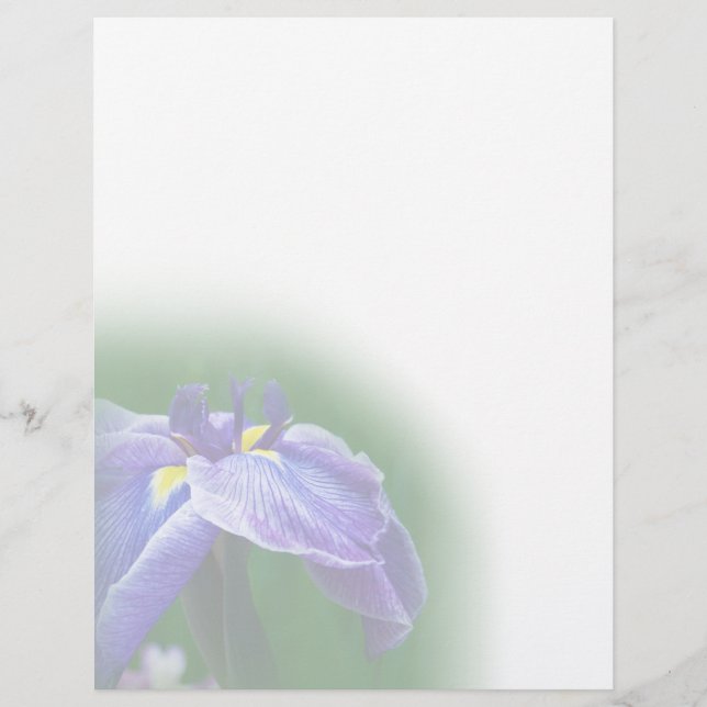 Lámina Iris Letterhead (Anverso)