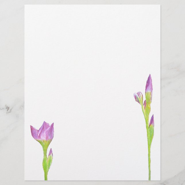 Lámina Iris morado (Anverso)