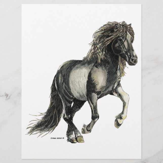 Lámina Islandesa mare Brana (Anverso)