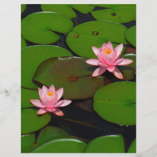 Lámina Jardín de flores de loto rosa lirio de agua,