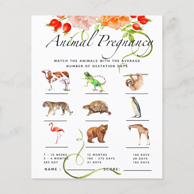 Lámina Juego de Baby Shower de calabaza para el embarazo  (Anverso)