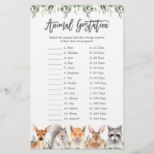 Lámina Juego de Gestación Animal de Woodland Animals Baby