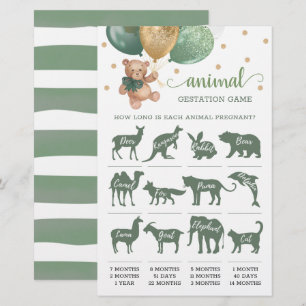 Lámina Juego de gestación animal Sage Green Teddy Bear