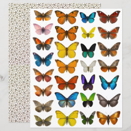 Lámina Juego de mariposa acuarela para corte exigente