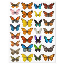 Juego de mariposa acuarela para corte exigente