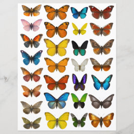 Lámina Juego de mariposa acuarela para corte exigente
