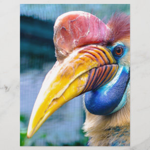 Lámina Knobbed Hornbill