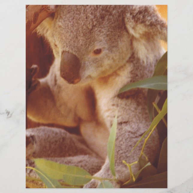 Lámina Koala Bear Love (Anverso)