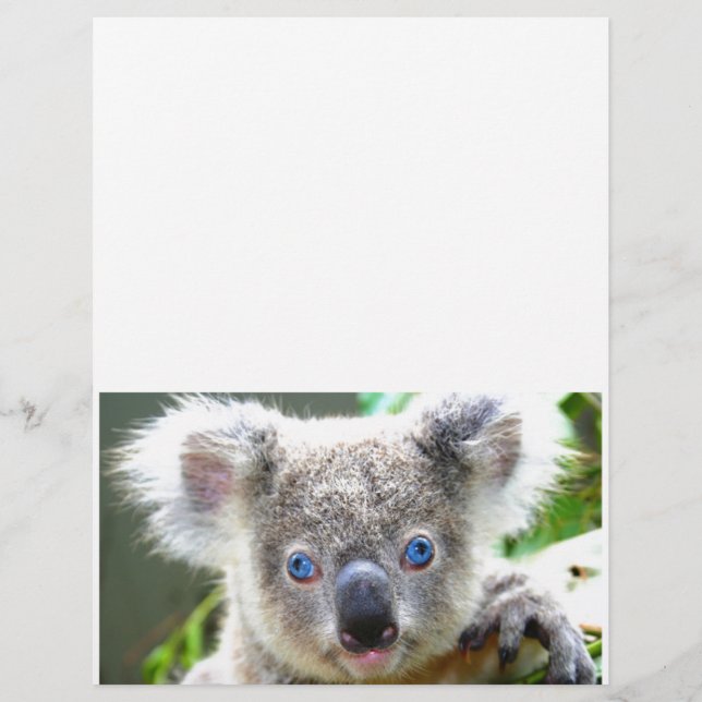 Lámina Koala Bears (Anverso)