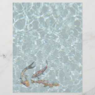 Lámina Koi Pond