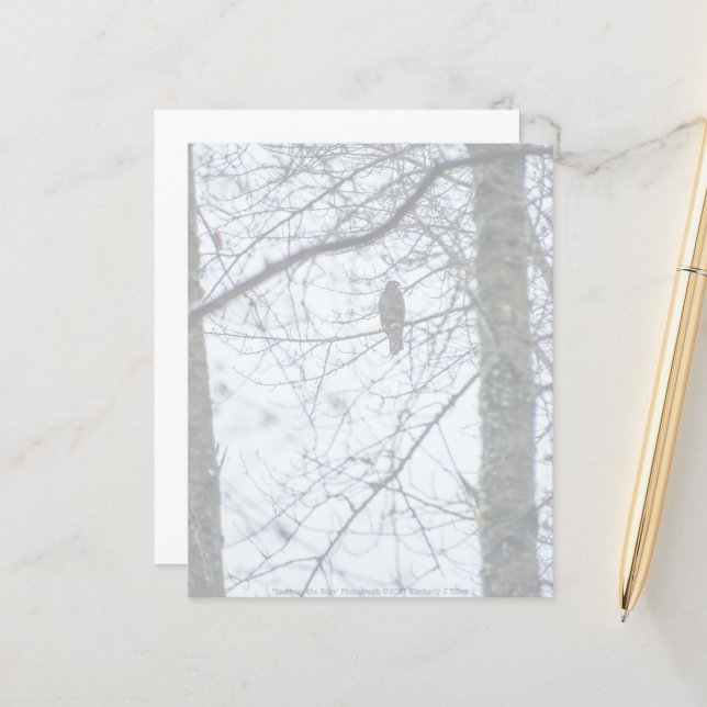 Lámina La juventud al borde del abismo (Anverso/Reverso In Situ)