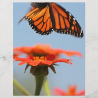 Lámina La mariposa monarca toma vuelo