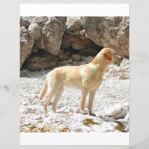 Lámina laboratorio amarillo réflex lleno