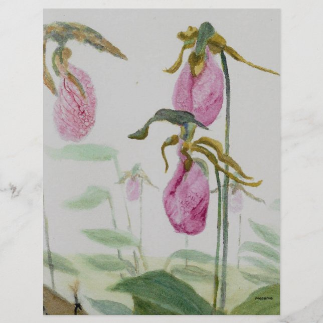 Lámina Lady Slippers (Anverso)