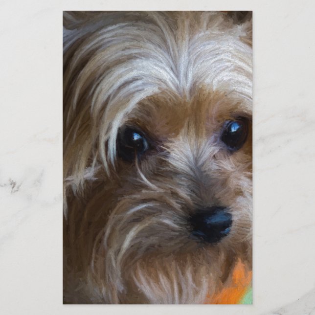 Lámina Lady Yorkshire Terrier (Anverso)