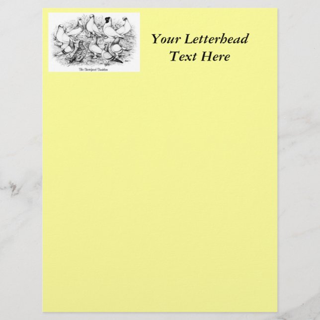 Lámina Las palomas de Tumbler de cara corta (Anverso)