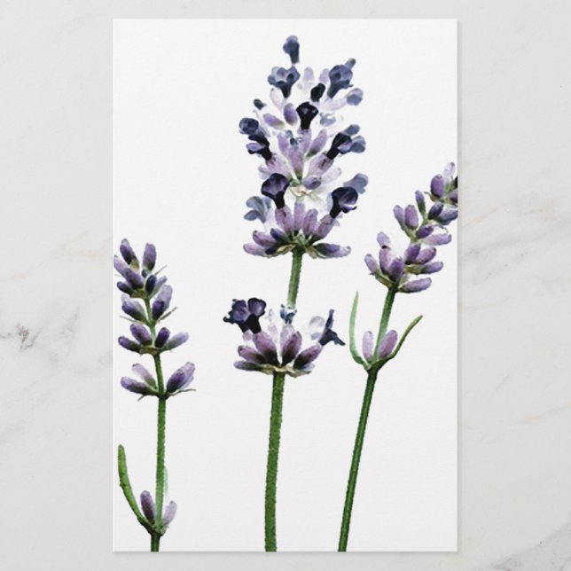 Lámina Lavanda | Flores moradas Pastel (Anverso)