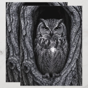 Lámina Lechuza en un árbol Hollow Papel negro y blanco pa