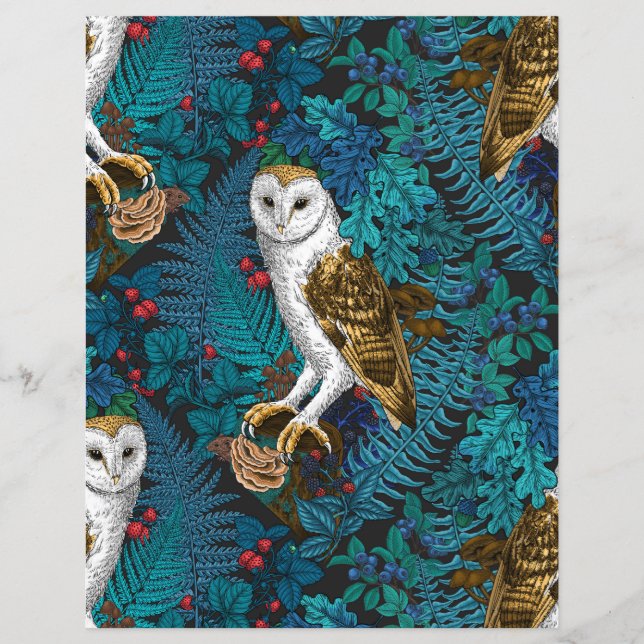 Lámina Lechuzas, helechos, robles y bayas 3 (Anverso)