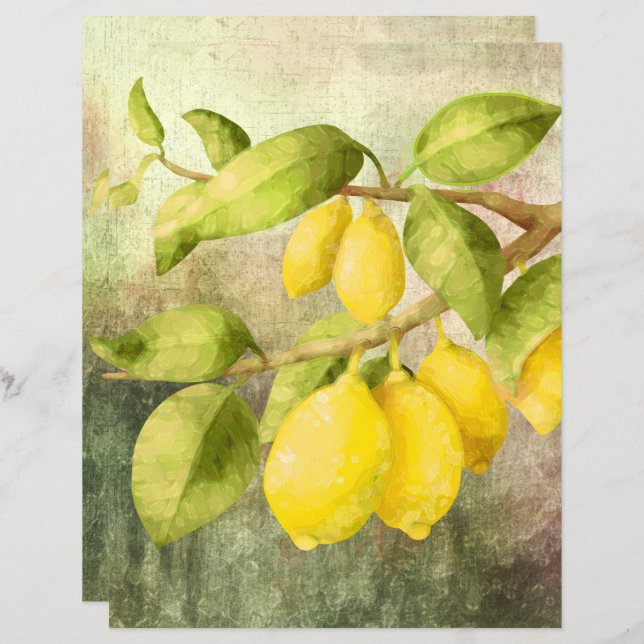 Lámina Lemones en una rama (Anverso / Reverso)