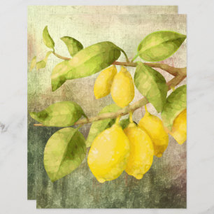 Lámina Lemones en una rama