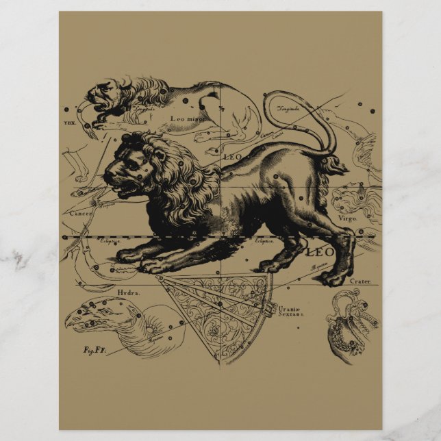 Lámina Leo Constellation Map Hevelius circa 1690 (Anverso)