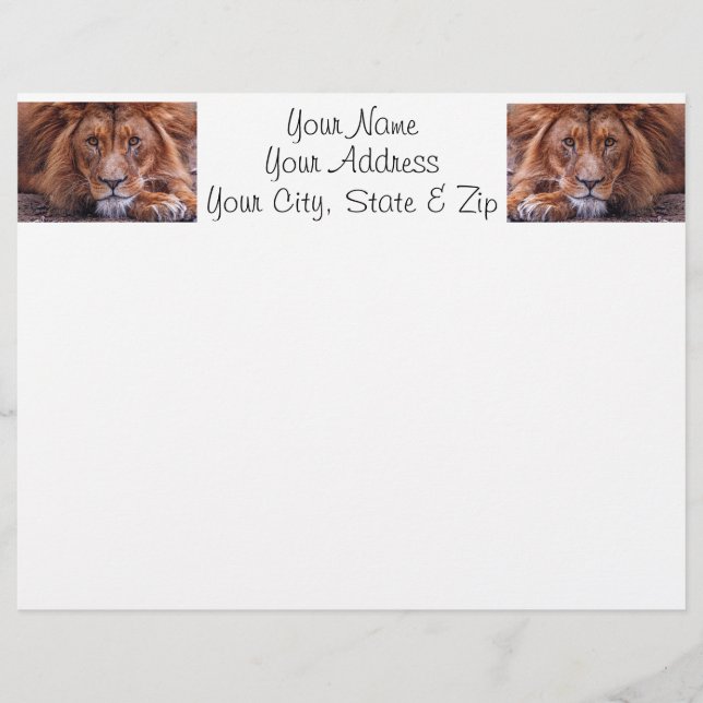 Lámina León africano (Anverso)