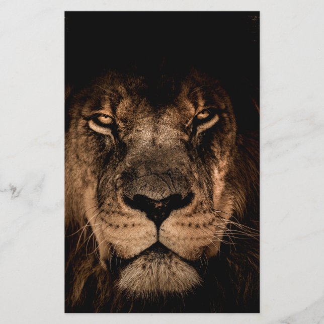 Lámina león africano mane eye (Anverso)