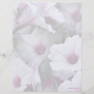 Lámina Letterhead Blanquecina Y Rosa De Petunias