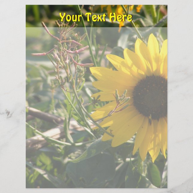 Lámina Letterhead de girasol (Anverso)