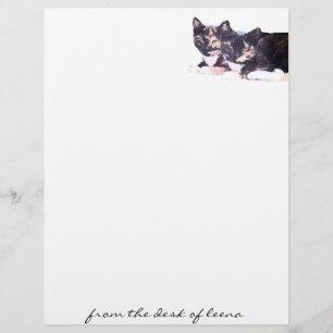 Lámina Letterhead de la familia del gato feral