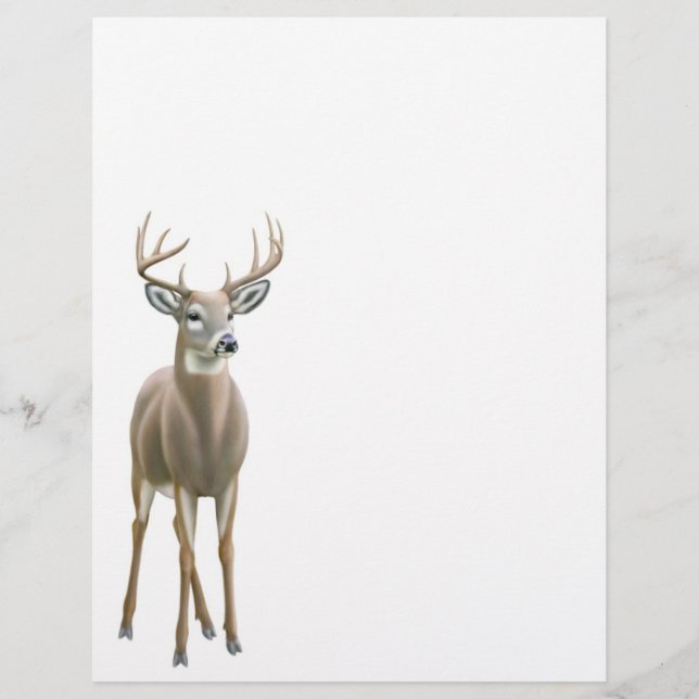 Lámina Letterhead de Whitetail Deer Buck (Anverso)