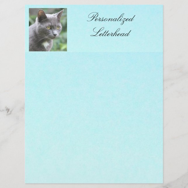 Lámina Letterhead Gray Kitty Personalizada (Anverso)