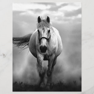 Lámina Libertad de caballo blanco y negro