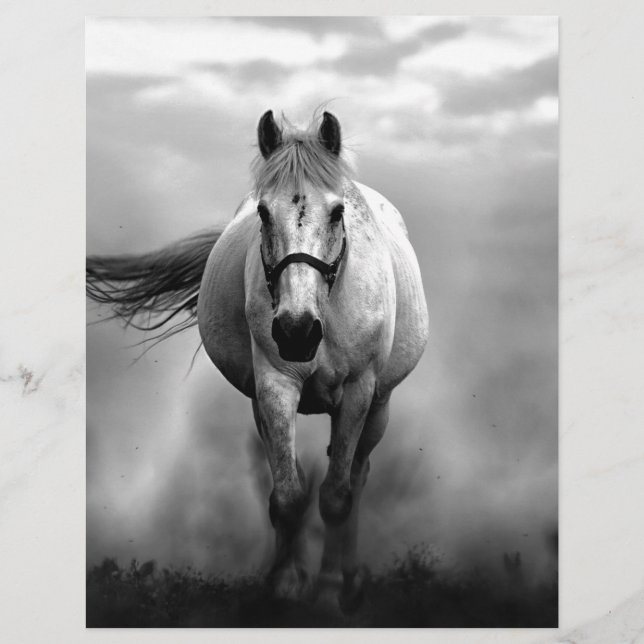 Lámina Libertad de caballo blanco y negro (Anverso)