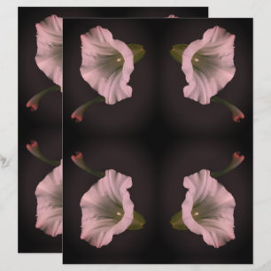 Lámina Libro blanco matutino de carátulas de flores
