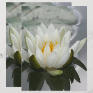 Lámina Libro de carátulas de flores de Lily Lotus Blossom