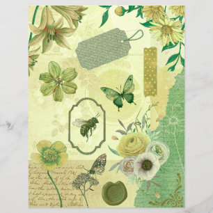 Lámina Libro de carátulas del Collage Olive Sea Green Gar