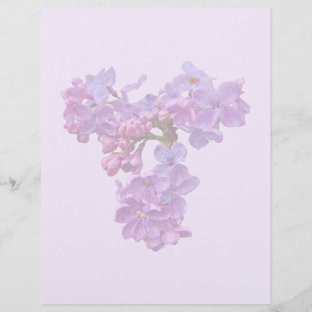 Lámina Lilacs en primavera (Anverso)